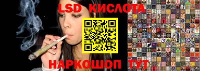 гидра Волгодонск